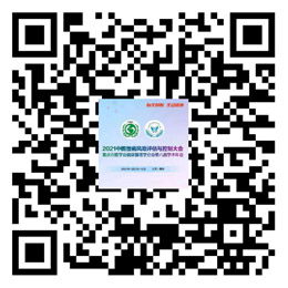 成都会议直播